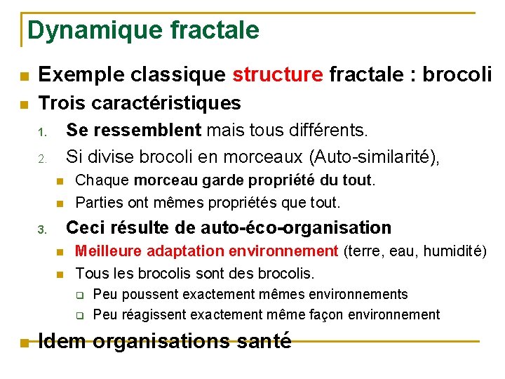 Dynamique fractale n Exemple classique structure fractale : brocoli n Trois caractéristiques Se ressemblent