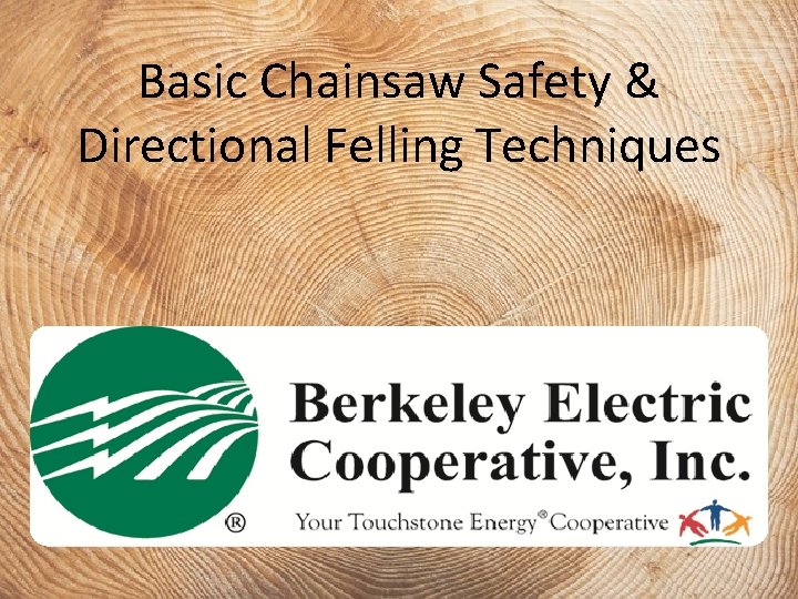 Basic Chainsaw Safety & Directional Felling Techniques 