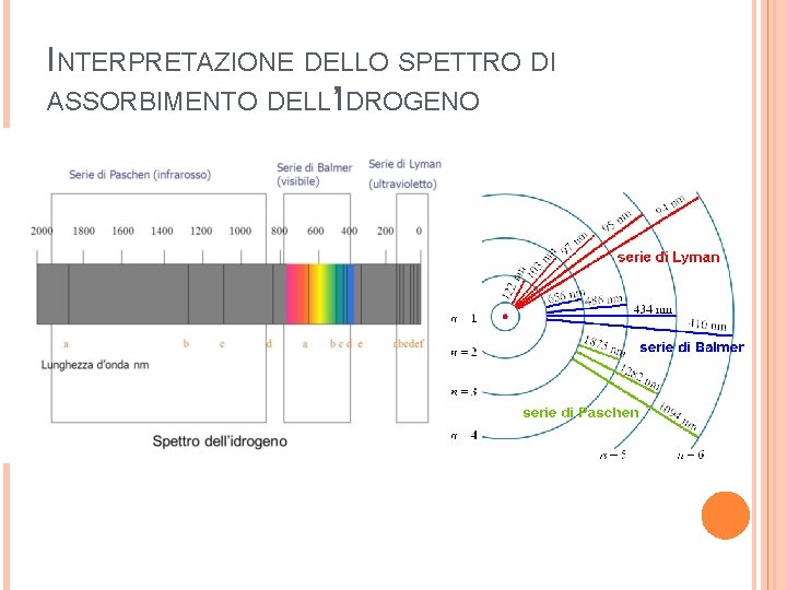 INTERPRETAZIONE DELLO SPETTRO DI ASSORBIMENTO DELL’IDROGENO 