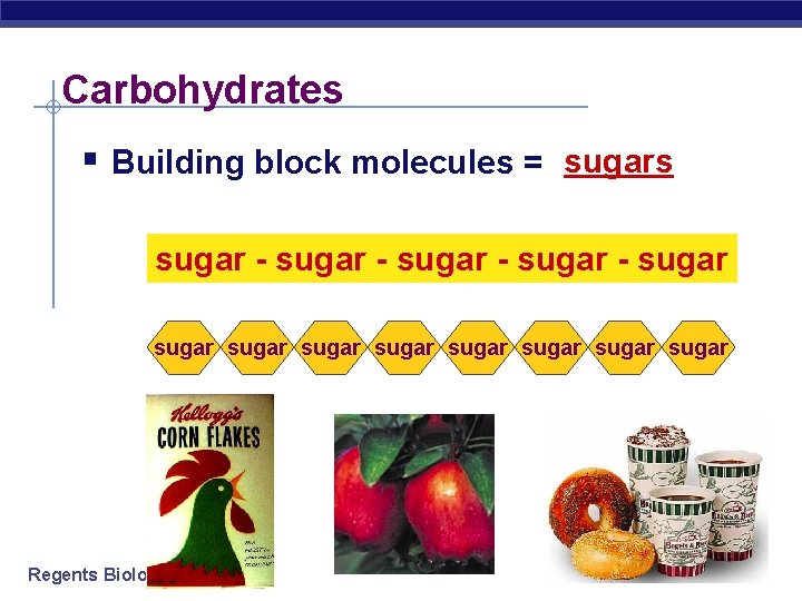 Carbohydrates § Building block molecules = sugars sugar - sugar sugar sugar Regents Biology