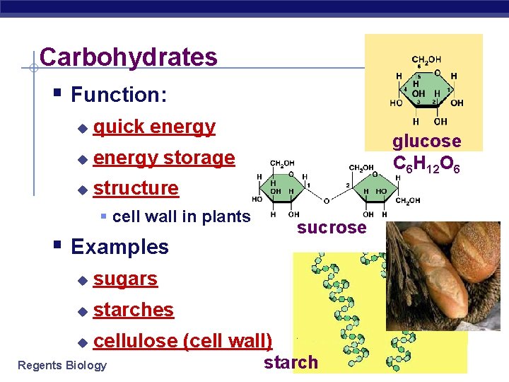 Carbohydrates § Function: u quick energy u energy storage u structure glucose C 6