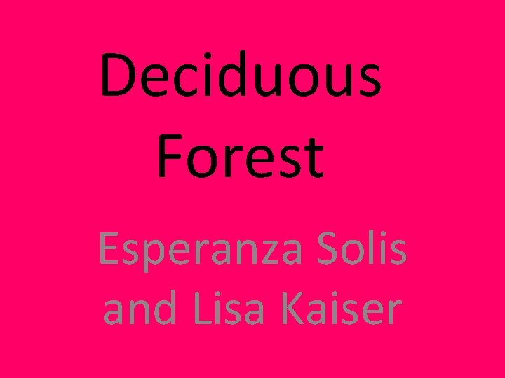 Deciduous Forest Esperanza Solis and Lisa Kaiser Deciduous Forest Esperanza Solis and Lisa Kaiser