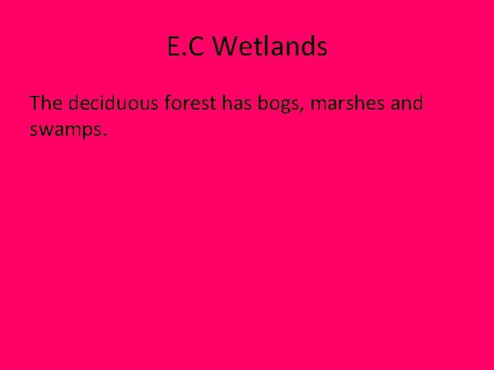 E. C Wetlands The deciduous forest has bogs, marshes and swamps. E. C Wetlands The deciduous forest has bogs, marshes and swamps.