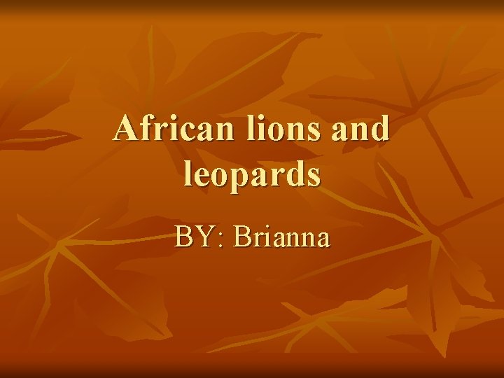 African lions and leopards BY: Brianna 