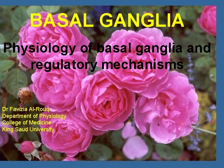 BASAL GANGLIA Physiology of basal ganglia and regulatory mechanisms Autonomic Nervous System Dr Fawzia