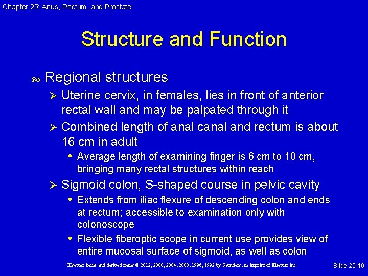 Chapter 25: Anus, Rectum, and Prostate Structure and Function Regional structures Uterine cervix, in Chapter 25: Anus, Rectum, and Prostate Structure and Function Regional structures Uterine cervix, in