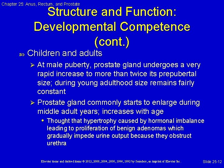 Chapter 25: Anus, Rectum, and Prostate Structure and Function: Developmental Competence (cont. ) Children Chapter 25: Anus, Rectum, and Prostate Structure and Function: Developmental Competence (cont. ) Children