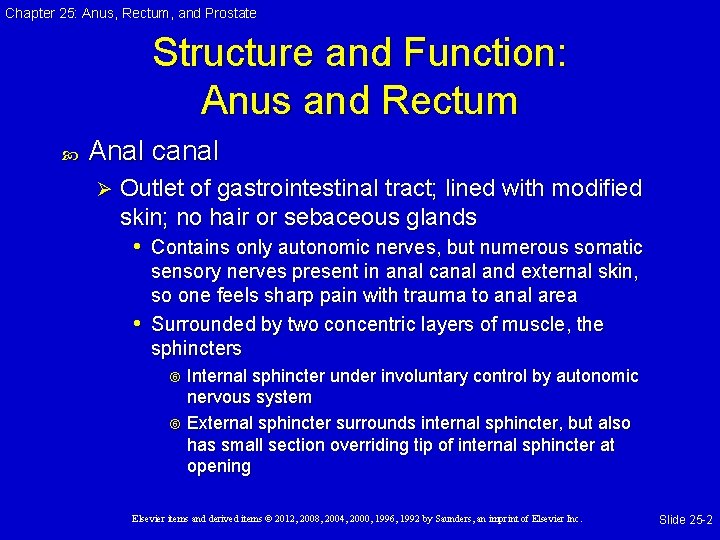 Chapter 25: Anus, Rectum, and Prostate Structure and Function: Anus and Rectum Anal canal Chapter 25: Anus, Rectum, and Prostate Structure and Function: Anus and Rectum Anal canal