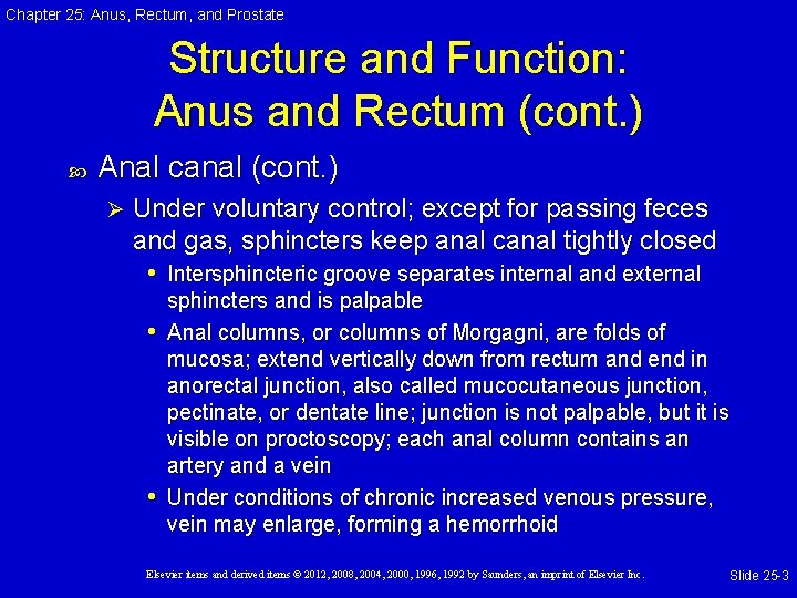 Chapter 25: Anus, Rectum, and Prostate Structure and Function: Anus and Rectum (cont. ) Chapter 25: Anus, Rectum, and Prostate Structure and Function: Anus and Rectum (cont. )