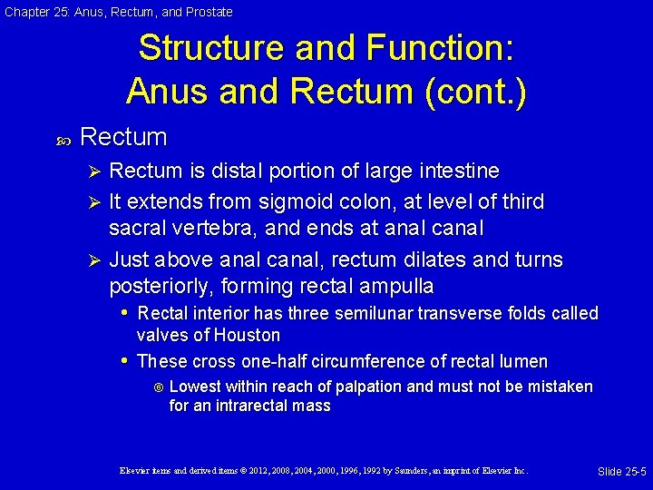 Chapter 25: Anus, Rectum, and Prostate Structure and Function: Anus and Rectum (cont. ) Chapter 25: Anus, Rectum, and Prostate Structure and Function: Anus and Rectum (cont. )
