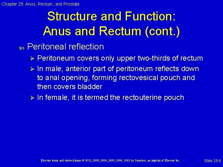 Chapter 25: Anus, Rectum, and Prostate Structure and Function: Anus and Rectum (cont. ) Chapter 25: Anus, Rectum, and Prostate Structure and Function: Anus and Rectum (cont. )