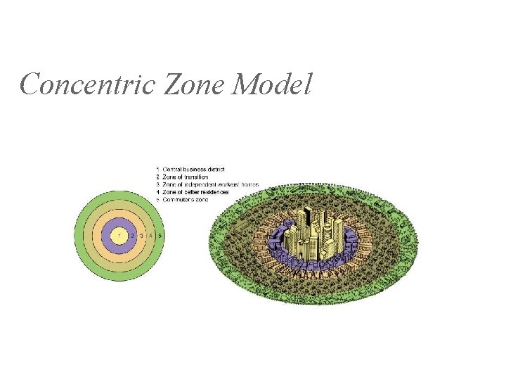 Concentric Zone Model 