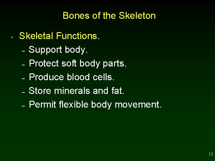 Bones of the Skeleton • Skeletal Functions. – Support body. – Protect soft body
