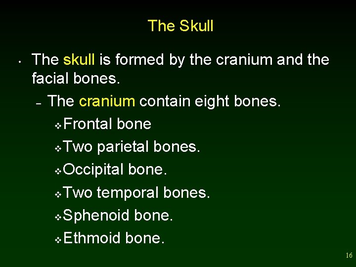 The Skull • The skull is formed by the cranium and the facial bones.