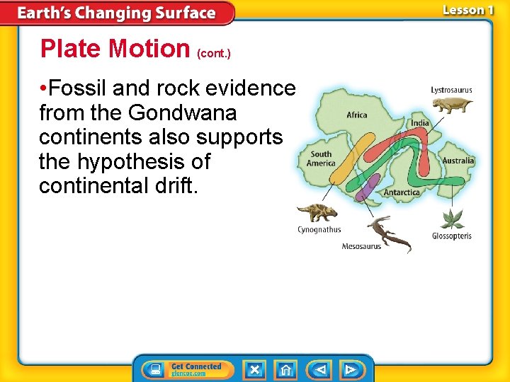 Plate Motion (cont. ) • Fossil and rock evidence from the Gondwana continents also