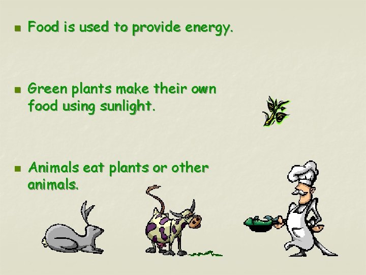 n n n Food is used to provide energy. Green plants make their own