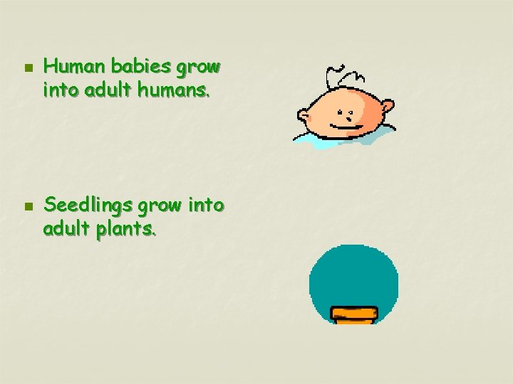 n n Human babies grow into adult humans. Seedlings grow into adult plants. 