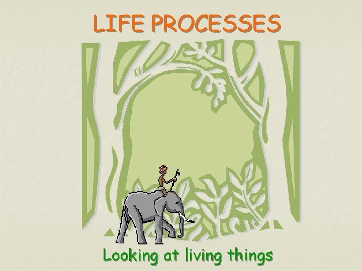 LIFE PROCESSES Looking at living things 