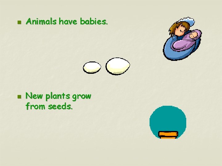 n n Animals have babies. New plants grow from seeds. 