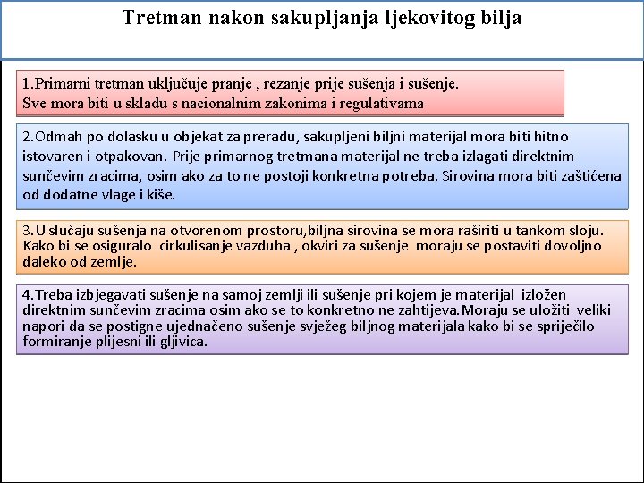 Tretman nakon sakupljanja ljekovitog bilja 1. Primarni tretman uključuje pranje , rezanje prije sušenja