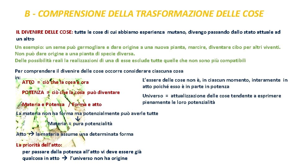 B - COMPRENSIONE DELLA TRASFORMAZIONE DELLE COSE IL DIVENIRE DELLE COSE: tutte le cose