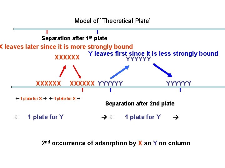 Model of `Theoretical Plate’ Separation after 1 st plate X leaves later since it