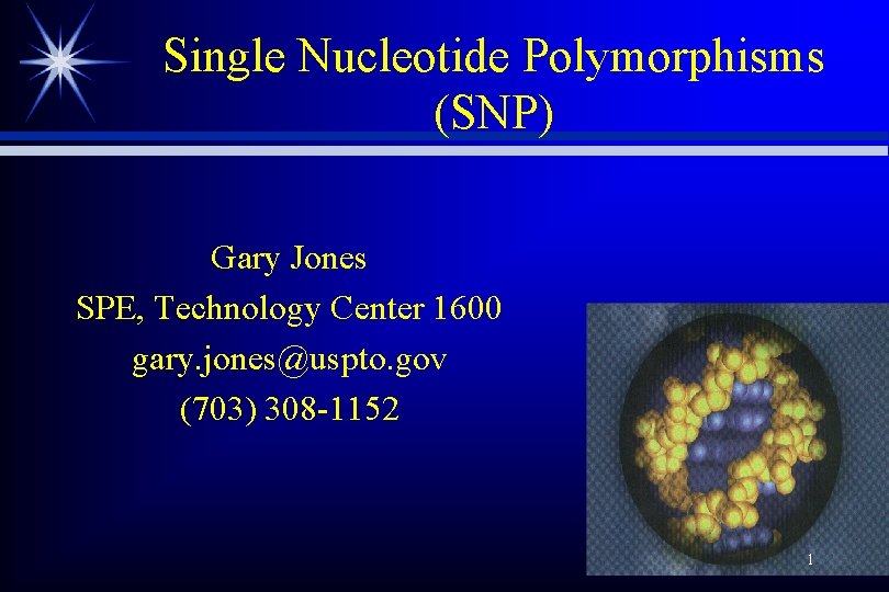 Single Nucleotide Polymorphisms (SNP) Gary Jones SPE, Technology Center 1600 gary. jones@uspto. gov (703)