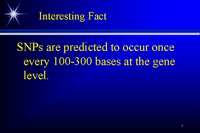Interesting Fact SNPs are predicted to occur once every 100 -300 bases at the