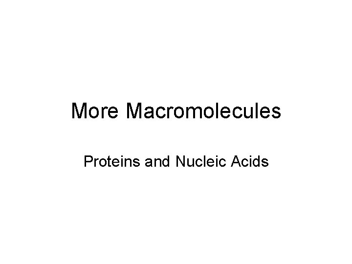 More Macromolecules Proteins and Nucleic Acids 