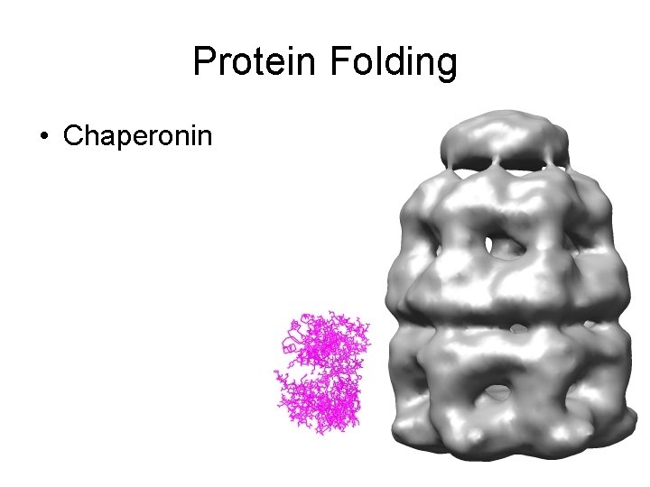 Protein Folding • Chaperonin 