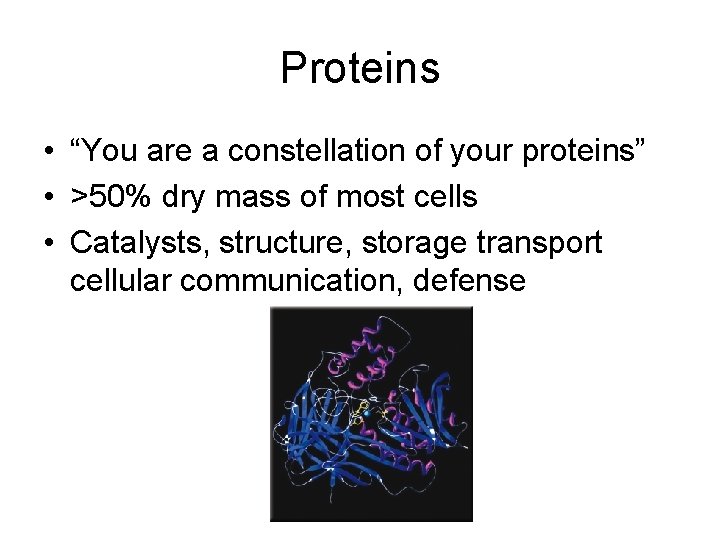 Proteins • “You are a constellation of your proteins” • >50% dry mass of