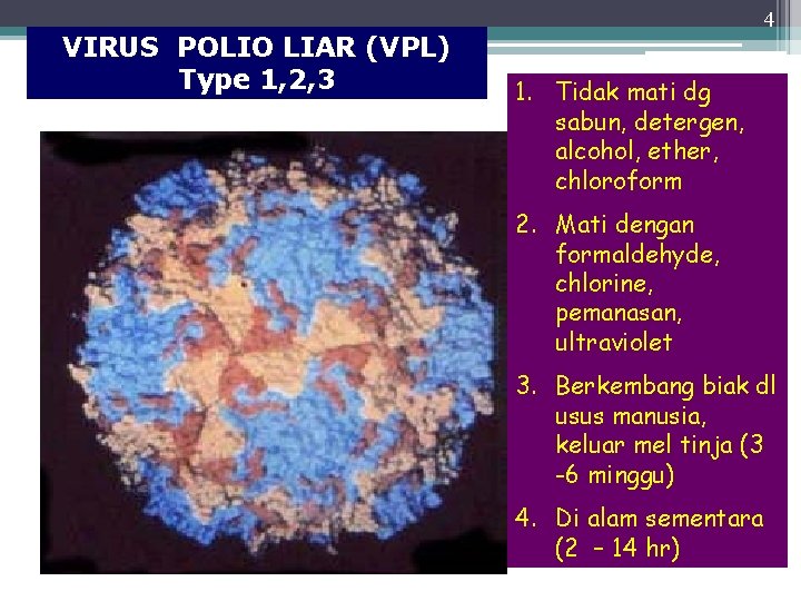 4 VIRUS POLIO LIAR (VPL) Type 1, 2, 3 1. Tidak mati dg sabun,
