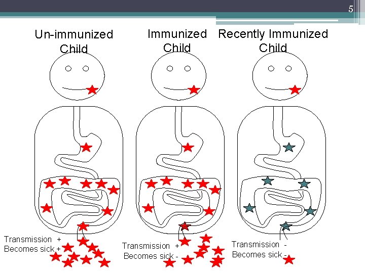 5 Un-immunized Child Transmission + Becomes sick + Immunized Recently Immunized Child Transmission +