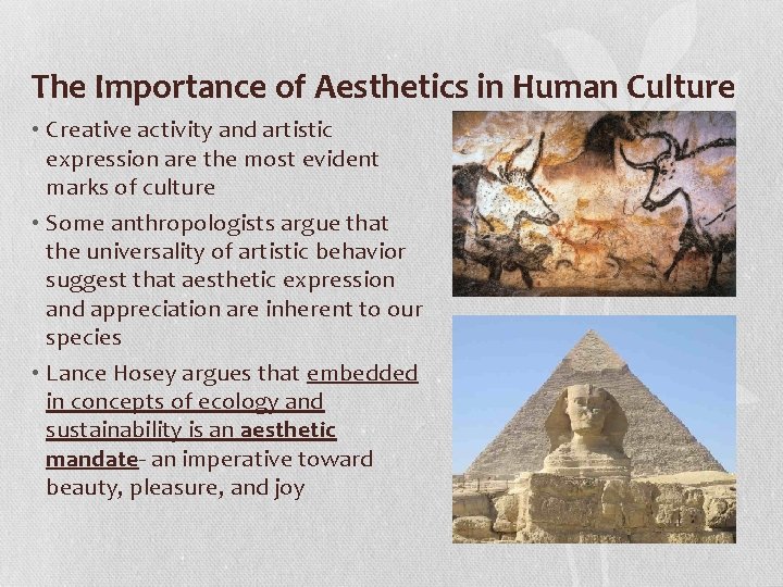 The Importance of Aesthetics in Human Culture • Creative activity and artistic expression are