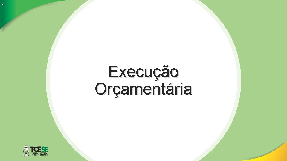 4 Execução Orçamentária 