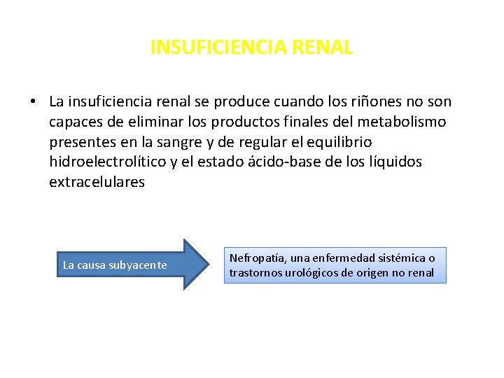 INSUFICIENCIA RENAL • La insuficiencia renal se produce cuando los riñones no son capaces