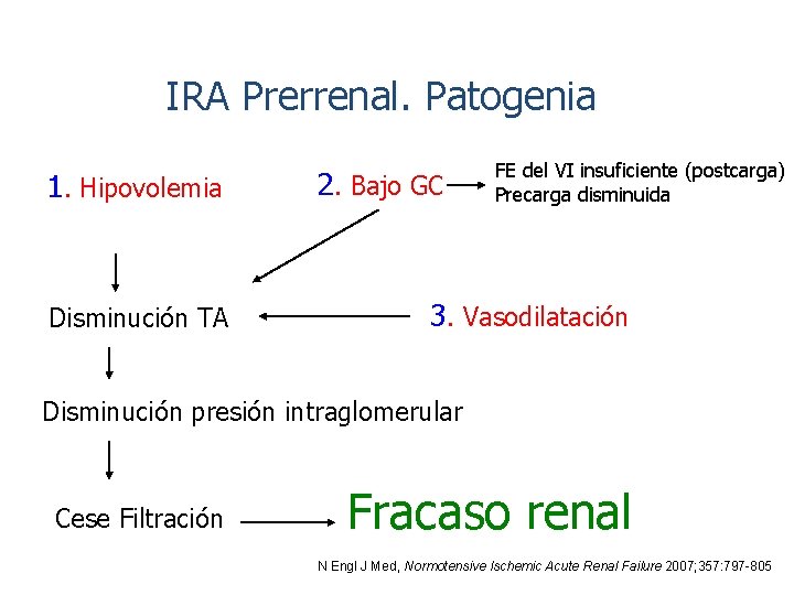 IRA Prerrenal. Patogenia 1. Hipovolemia Disminución TA 2. Bajo GC FE del VI insuficiente