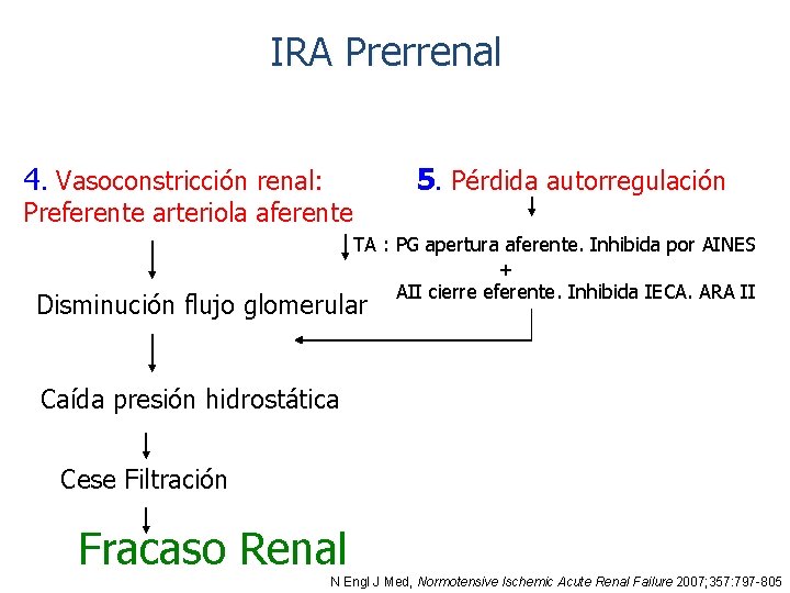 IRA Prerrenal 4. Vasoconstricción renal: 5. Pérdida autorregulación Preferente arteriola aferente TA : PG