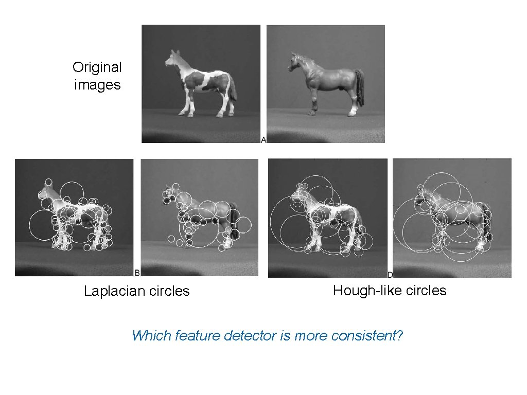 Original images Laplacian circles Hough-like circles Which feature detector is more consistent? Original images Laplacian circles Hough-like circles Which feature detector is more consistent?