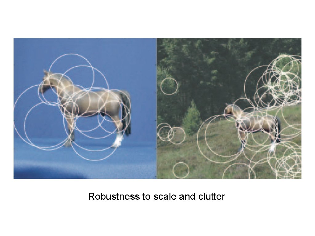 Robustness to scale and clutter Robustness to scale and clutter
