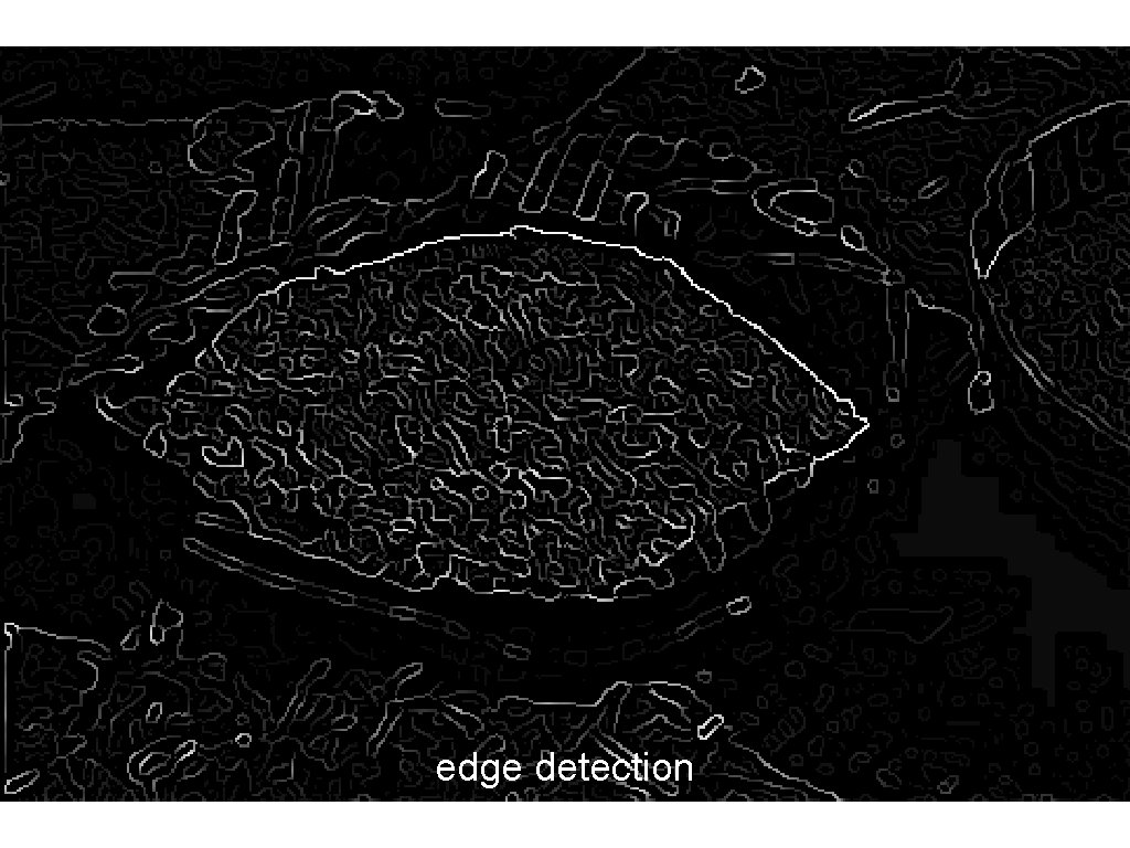 edge detection edge detection