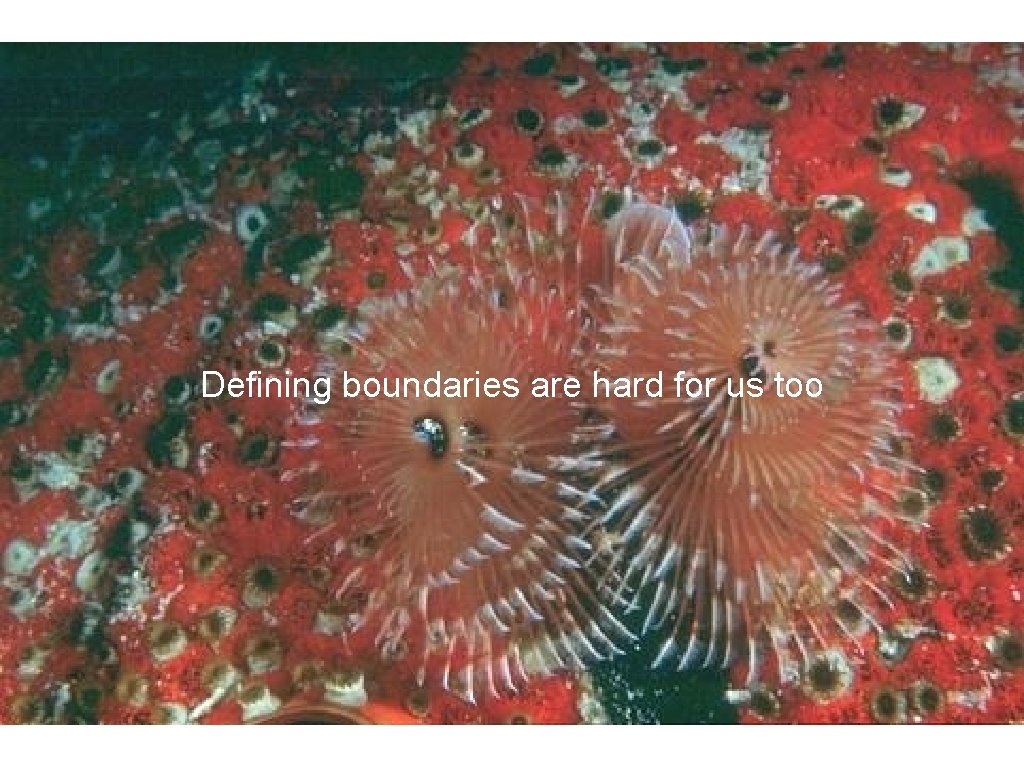 Defining boundaries are hard for us too Defining boundaries are hard for us too
