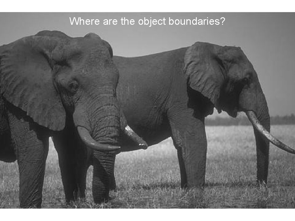 Where are the object boundaries? Where are the object boundaries?
