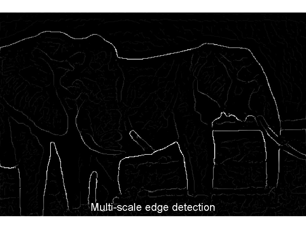 Multi-scale edge detection Multi-scale edge detection