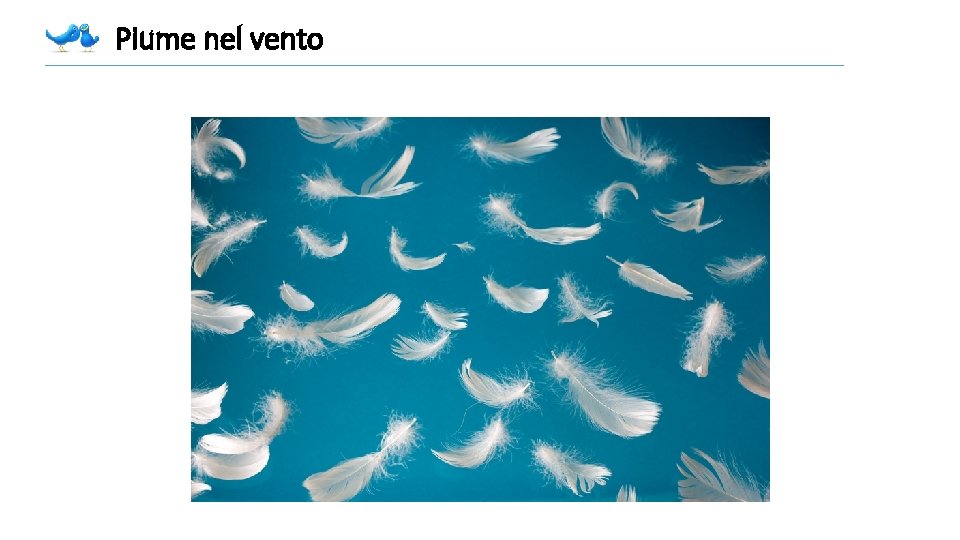 Piume nel vento Piume nel vento