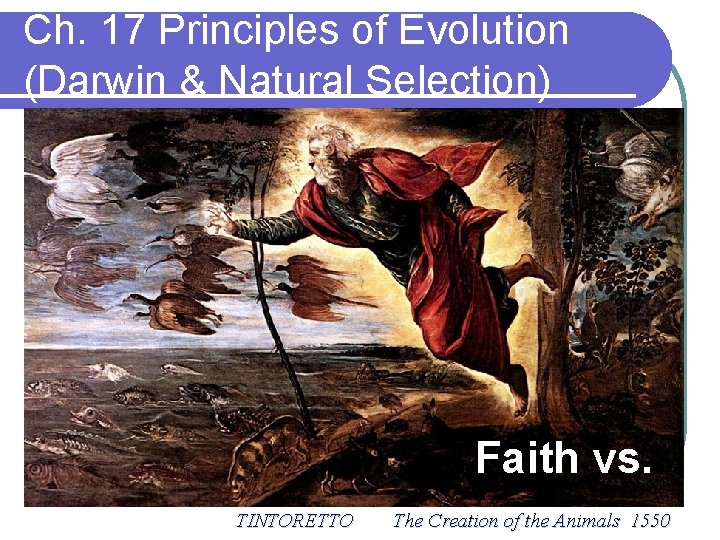 Ch. 17 Principles of Evolution (Darwin & Natural Selection) Faith vs. TINTORETTO The Creation