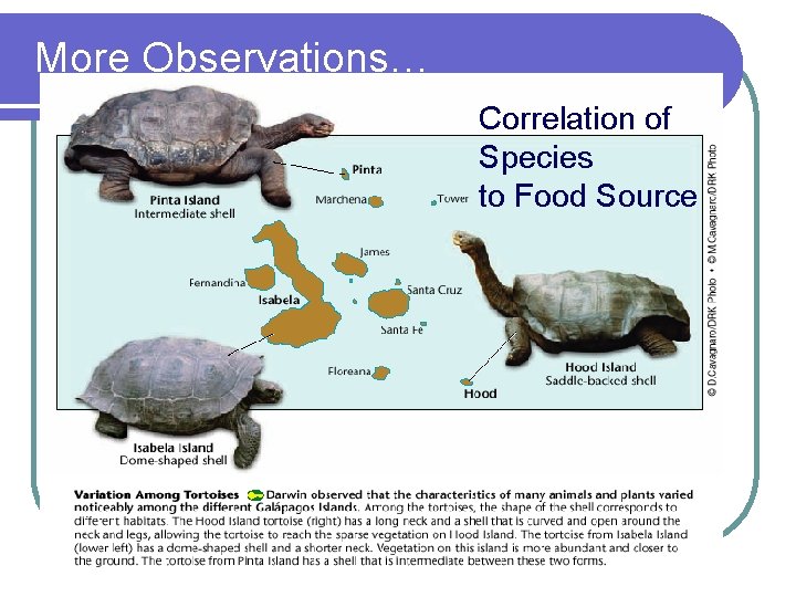 More Observations… Correlation of Species to Food Source 