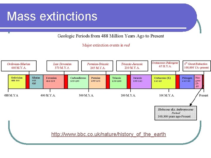 Mass extinctions http: //www. bbc. co. uk/nature/history_of_the_earth 