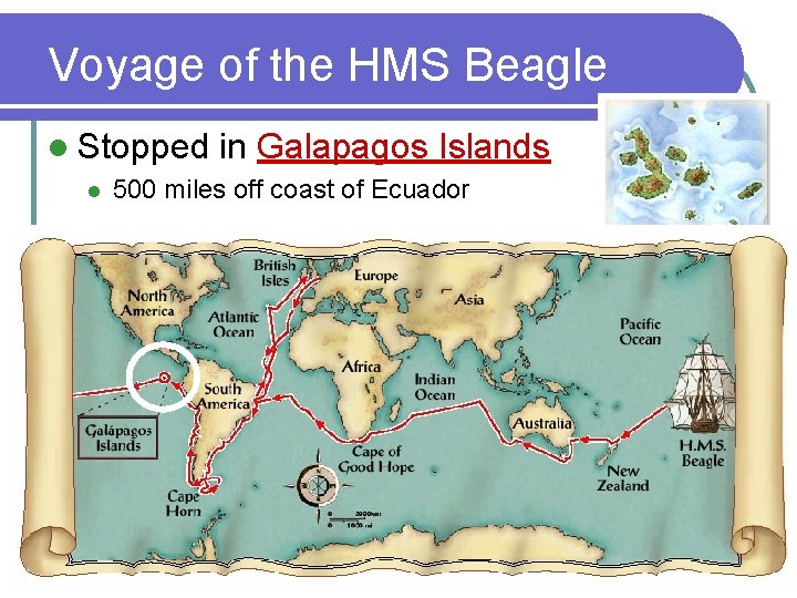 Voyage of the HMS Beagle l Stopped l in Galapagos Islands 500 miles off