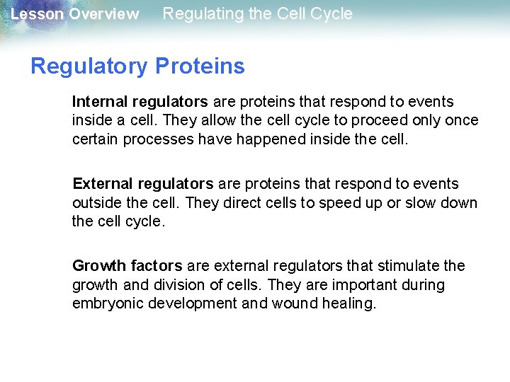 Lesson Overview Regulating the Cell Cycle Regulatory Proteins Internal regulators are proteins that respond